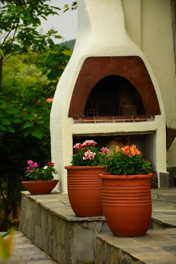 Villa Monte Kariotes 萨莫色雷斯岛 外观 照片