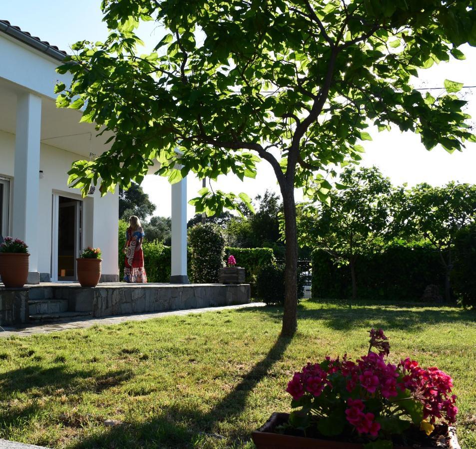 Villa Monte Kariotes 萨莫色雷斯岛 外观 照片